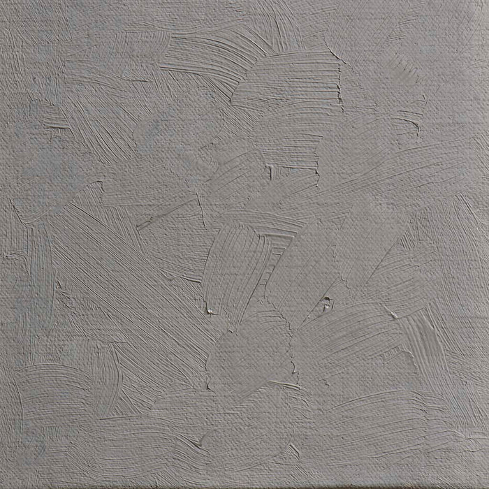 BLOCKX Oil Tube 20ml S2 273 Brownish Grey FPC212273BXC