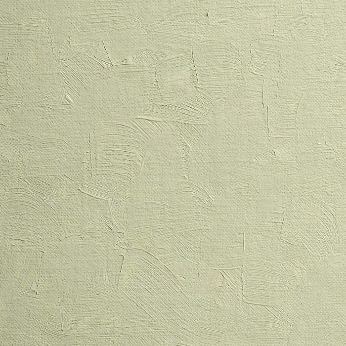 BLOCKX Oil Tube 35ml S1 161 Green Earth FPC213161BXC