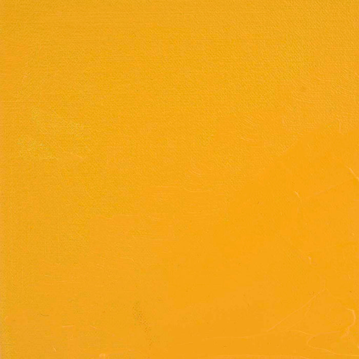 BLOCKX Oil Tube 35ml S2 216 Gamboge FPC213216BXC