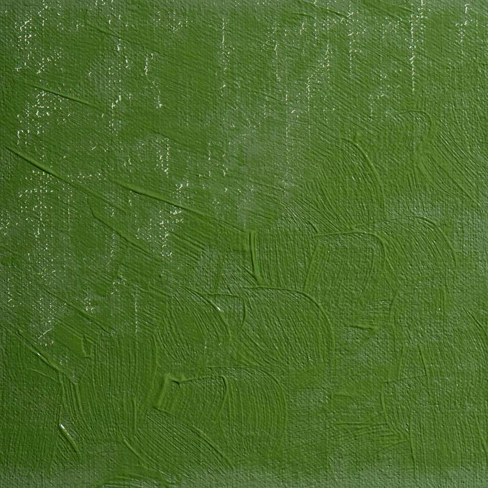 BLOCKX Oil Tube 35ml S5 561 Lamoriniere Green FPC213561BXC