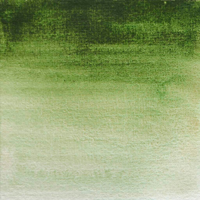 BLOCKX Watercolour Half Pan S1 164 Hookers Green FPC41164BXC