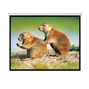 Brateck 150' Projector Screen, Manual Self Locking, Matte Finish, 4:3 Aspect Ratio CDPRS150M