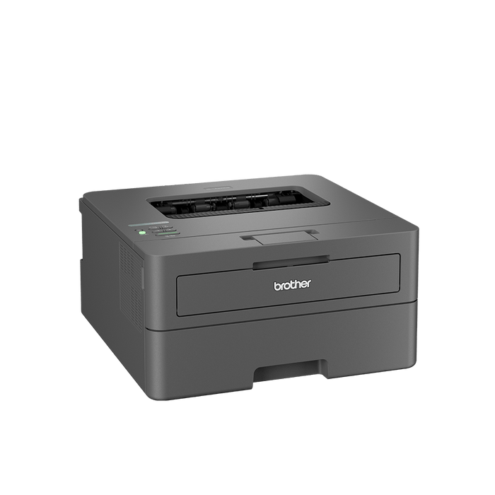 Brother HLL2400DW Mono Laser A4 Printer DSBP2400DW