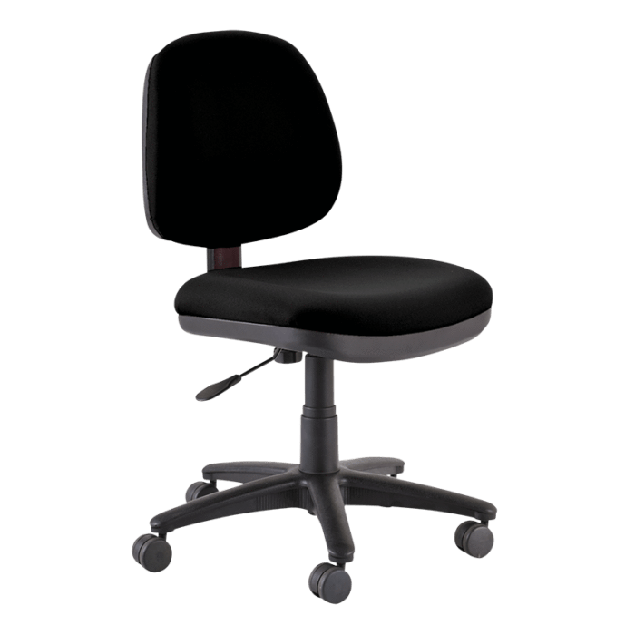 Buro Image Office Task Chair - Black Nylon or Polished Aluminium or Architectural Nylon With 270mm Gas Lift Base Black / Black Nylon / Ready to Assemble BS117-63