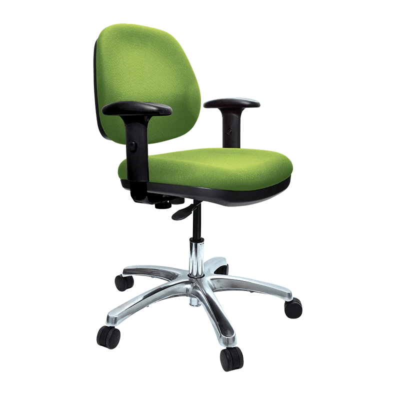 Pi22 Task Chairs Buro Image Office Task Chair with Armrest, Polished Aluminium Base, Gr ...