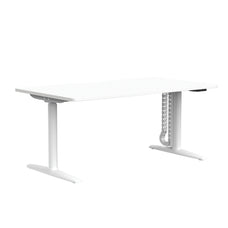 Buro Syntra Electric Height Adjustable Desk