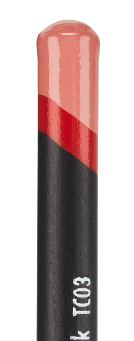 Derwent Tinted Charcoal Pencils - 24 Pencils Set in Metal Tin (2301691)