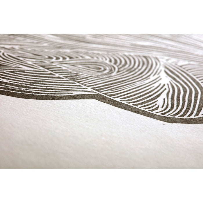 Clairefontaine Fleur de Cotton Paper 76cm x 112cm 250g, Pack of 10, 100% Cotton FPC975057C