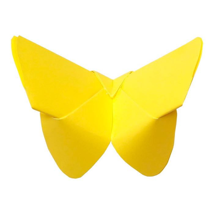 Clairefontaine Origami Paper 10 Brights, 20x20cm, 100 Sheets FPC95007C