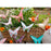 Clairefontaine Origami Paper Fruity Garden, 15x15cm, 60 Sheets FPC95357C