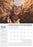 Collins 2024 Rosebank Wall Calendar A4 Cats & Kittens CX11294613
