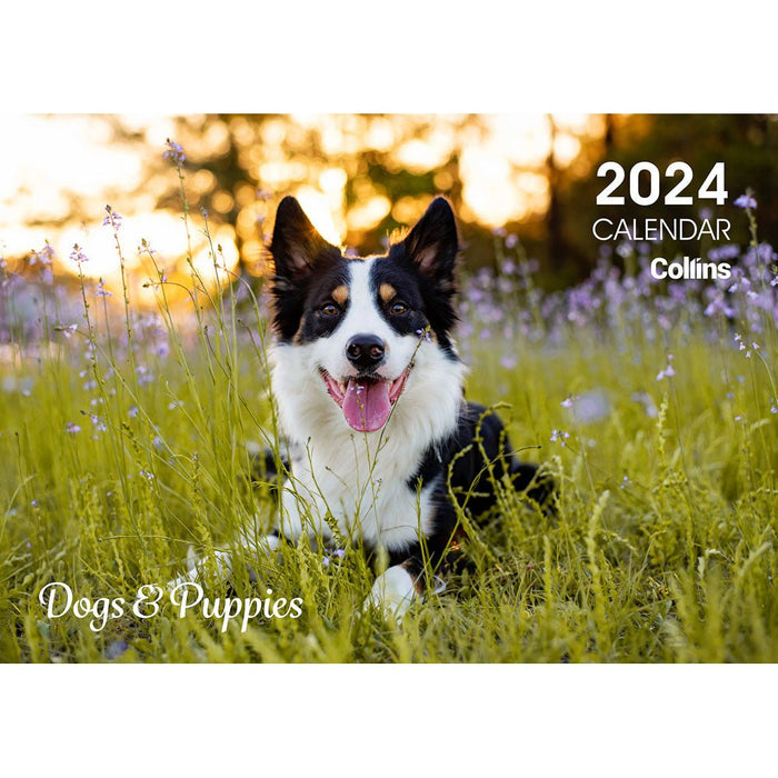 Collins 2024 Rosebank Wall Calendar A4 Dogs & Puppies CX11294618