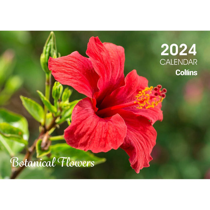 Collins 2024 Rosebank Wall Calendar A4 NZ Floral CX11294614