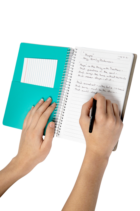 Colourhide A5 Polypropylene Cover 2 Subject Book 300 Pages x 5's pack AO1717302J