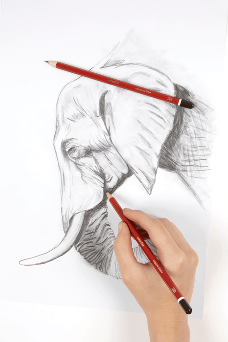 Columbia Copperplate Lead Pencil Hexagonal 2B Pack of 2 AO61700C2B