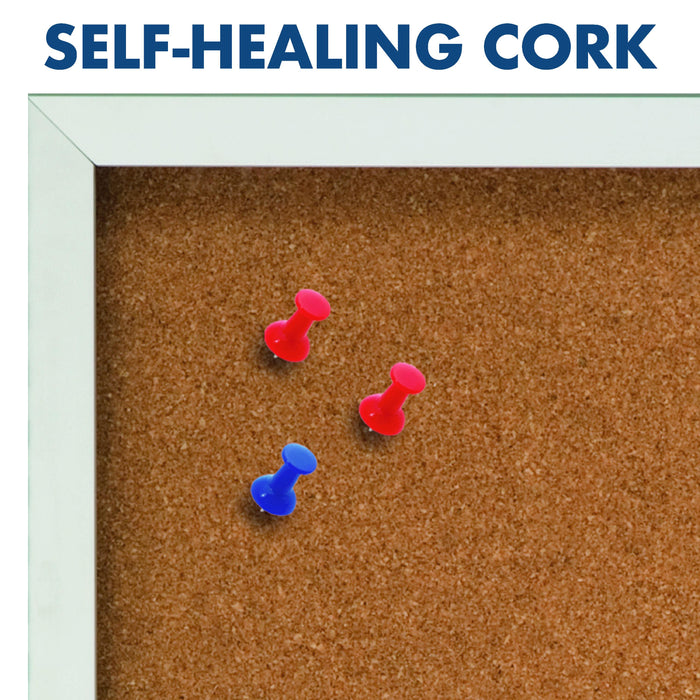Corkboard With 1 Door - Aluminium Frame 900 x 600mm AOQT2363