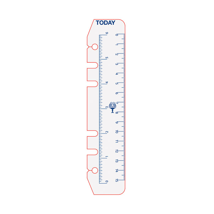 Debden Personal Dayplanner Today Ruler, 2's Pack CX1001206
