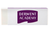 Derwent Academy Eraser Large - Pack of 20's AOR31101B