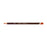 Derwent Coloursoft Pencil, Ginger, Pack of 6 (C550) AO701007