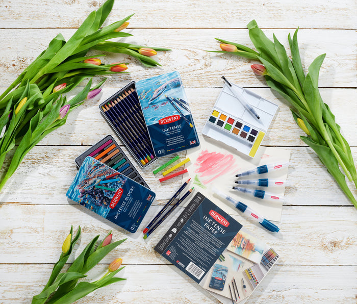 Derwent Inktense Watercolour Pencil 12's (0700928) AOR700928
