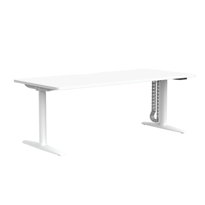 Buro Syntra Electric Height Adjustable Desk