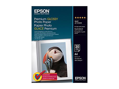 Epson A4 Glossy Paper (S041287) DSE41287