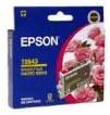 Epson T0543 Magenta Original Cartridge DSE543