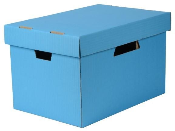 Esselte Archive Storage Box With Lid - Blue AO073821