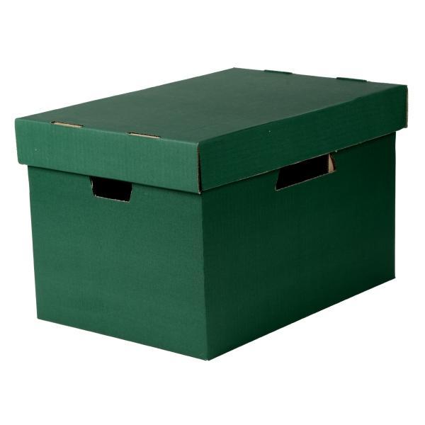 Esselte Archive Storage Box With Lid - Green AO073822
