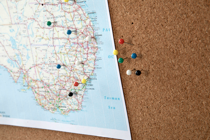 Esselte Map Pins Assorted AO45108