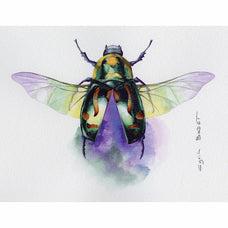 Etival Cold Press Paper 56cm x 76cm 300g, Pack of 10 FPC93422C