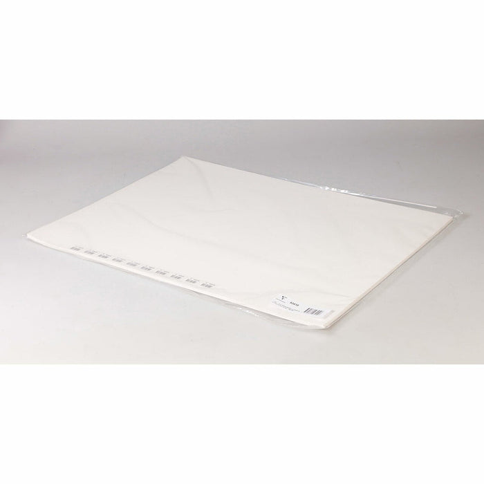 Fontaine Cold Press Paper 56cm x 76cm 300g, Pack of 10 FPC93410C