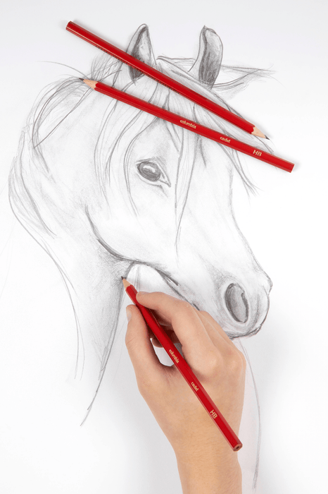 HB Pencil Columbia Cadet - Hexagonal 20's Pack AO61500HHB