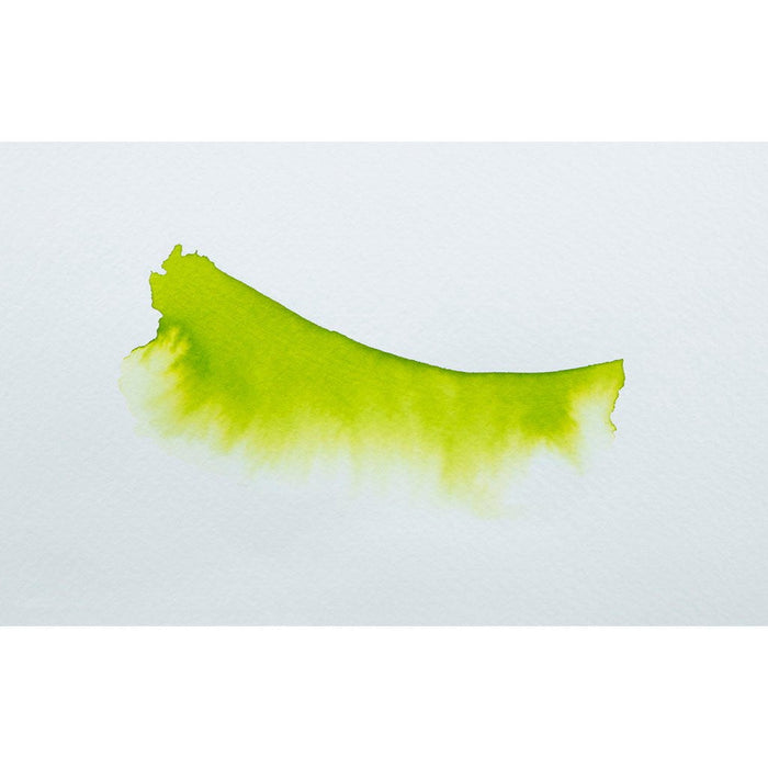 Jacques Herbin Eclats Watercolour Ink 530 Anise Green 50ml FPC16530T