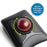 Kensington Expert Mouse Wireless Trackball, Dual Wireless, Detachable Wrist Rest AO72359