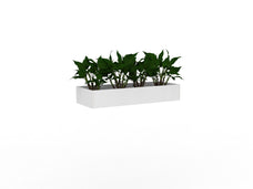 Knight's Cubit Planter Box, 1200mm, White (Plants NOT included) KG_CBPBOX12_W