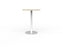 Knight's Polo Bar Leaner Table, White Frame, 800mm Round Nordic Maple Top KG_POLOBL8RWNM