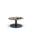 Lunar 600 Coffee Table - Black Base / Autumn Oak Top MG_LUNF600B_AO