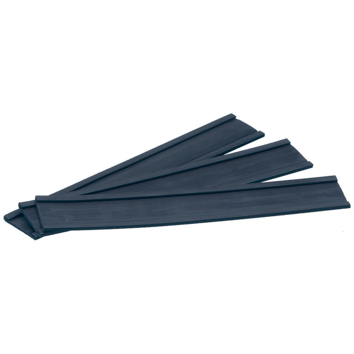 Magnetic Data Card Holder 150mm x 25mm - 10's AOQTMC26