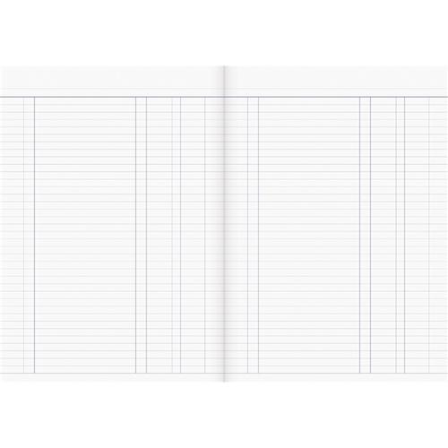 Milford Journal Accounting Book | Analysis Books — Discount Office