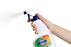 Northfork Floral Bin Deodoriser And Sanitiser 750ml x 12's pack AO633040411