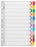 Okin A4 Cardboard Indices with Reinforced Tabs Jan-Dec - Coloured FPIF633