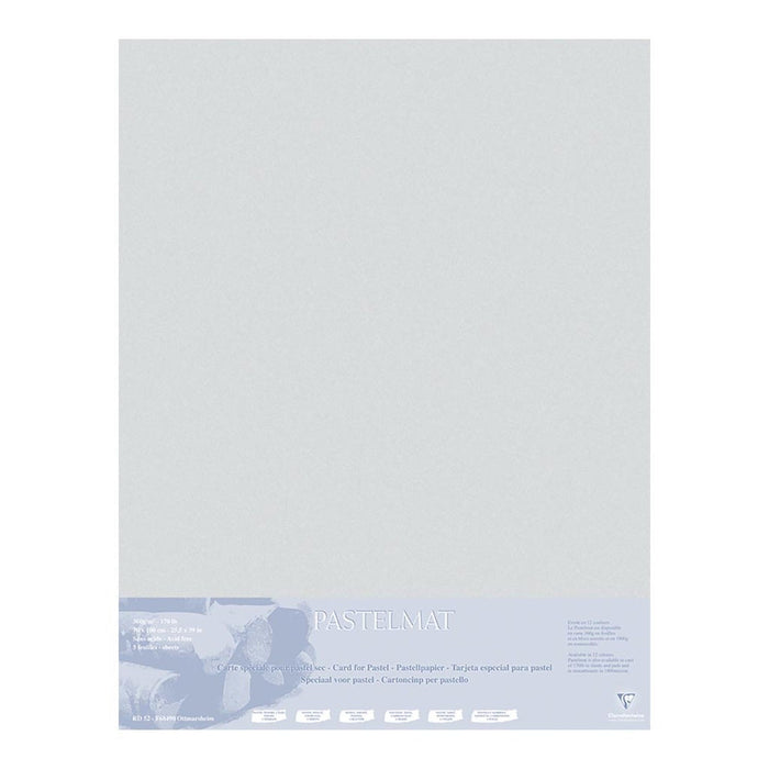 Pastelmat Mount Board 70cm x 100cm - 5 sheets Clear Grey FPC396020C