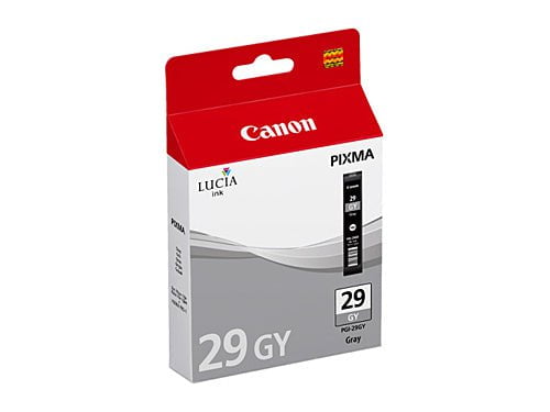 PGI29 / PGI 29 Grey Original Canon Cartridge DSCI29GY