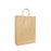 Recyclable Twisted Handle Paper Bag 260mm x 360mm x 200's Pack ECEP-TH02