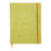 Rhodiarama Softcover B5 Dotted Pages Notebook - Anise Green FPC117556C