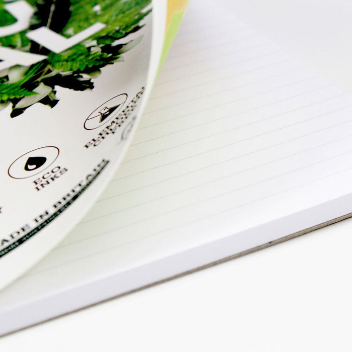 Silvine A4 120 Pages Carbon Zero Refill Pad CXR301