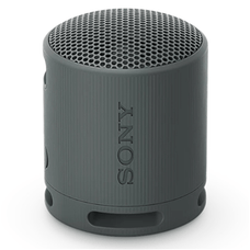 Sony SRSXB100H Wireless Speaker Grey DVSPA773