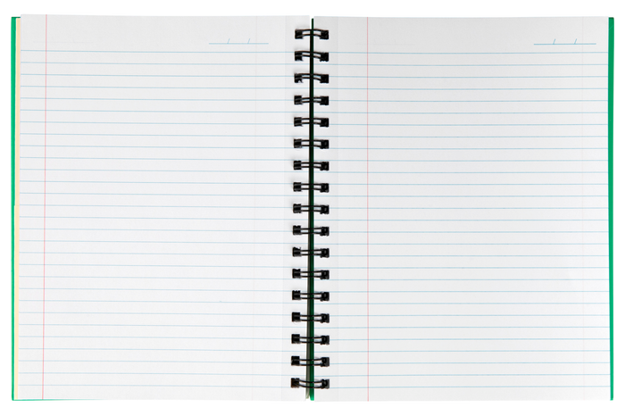 Spirax 511 Green Hard Cover 225mm x 175mm 200 pages Notebook x 5's pack AO56511G