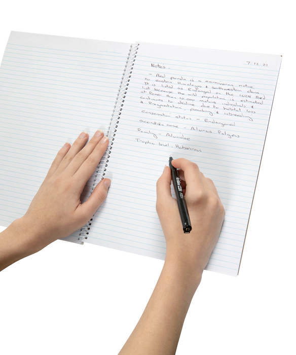 Spirax 595 A4 Notebook 120 Pages x Pack of 10 AO56058